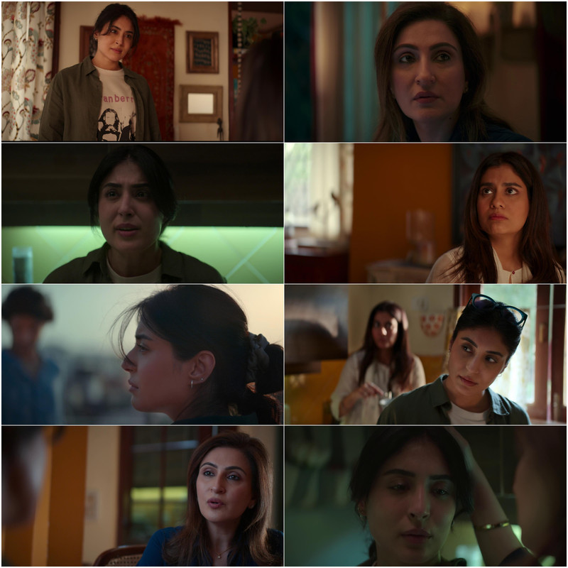 The Great Shamsuddin Family (2025) DS4K Hindi Movie HD ESub screenshot