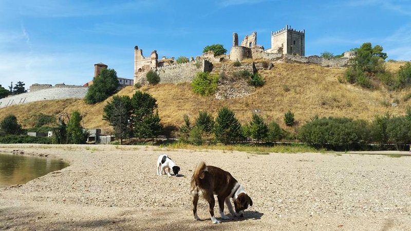 PLAYA DE ESCALONA-25-9-2016-TOLEDO - Paseando por España-1991/2016 (7)