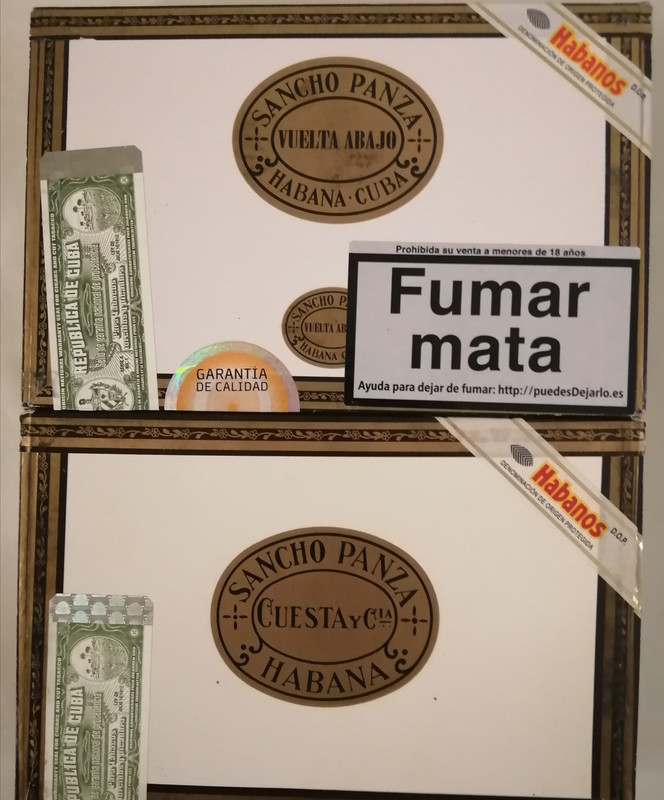 IMG_20240612_144433[1]