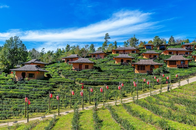 best places to visit in Ooty