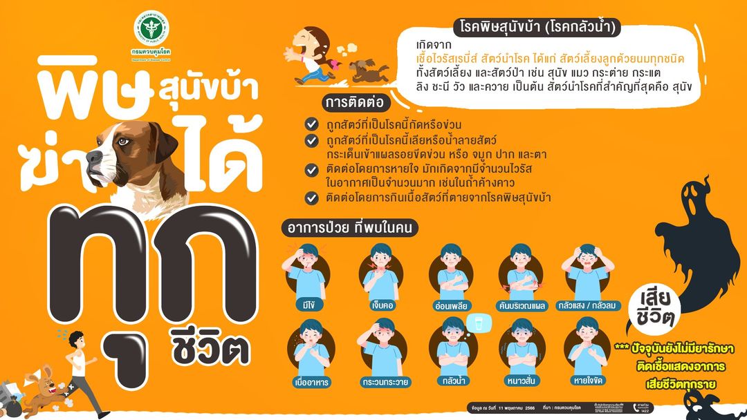 โรคพิษสุนัขบ้า ฆ่าได้ทุกชีวิต คำแนะนำเมื่อถูกกัด ข่วน เลีย