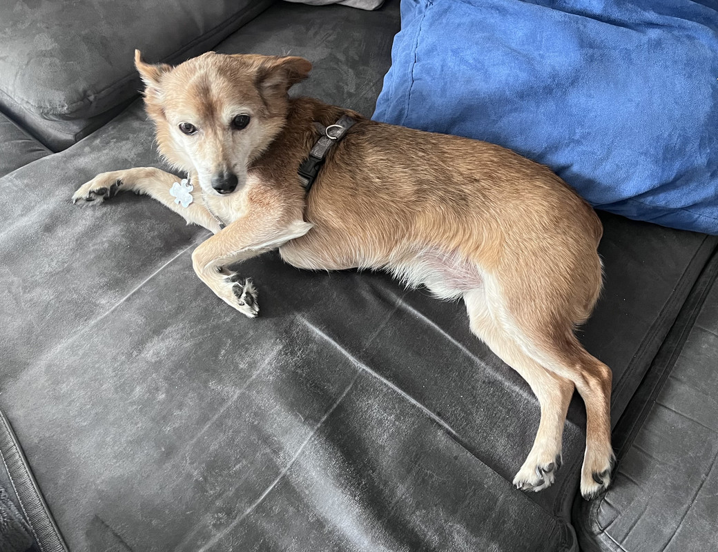 [Image: IMG-8878.jpg]