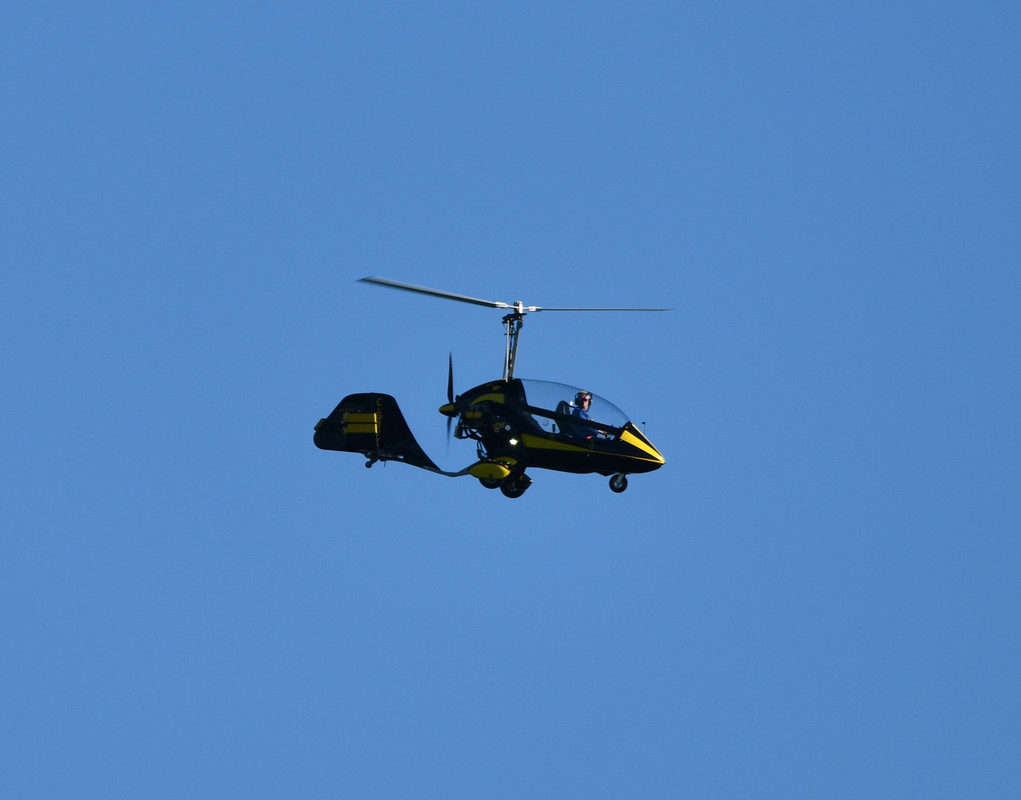 cropped DSC_3875 Oct 13 2025