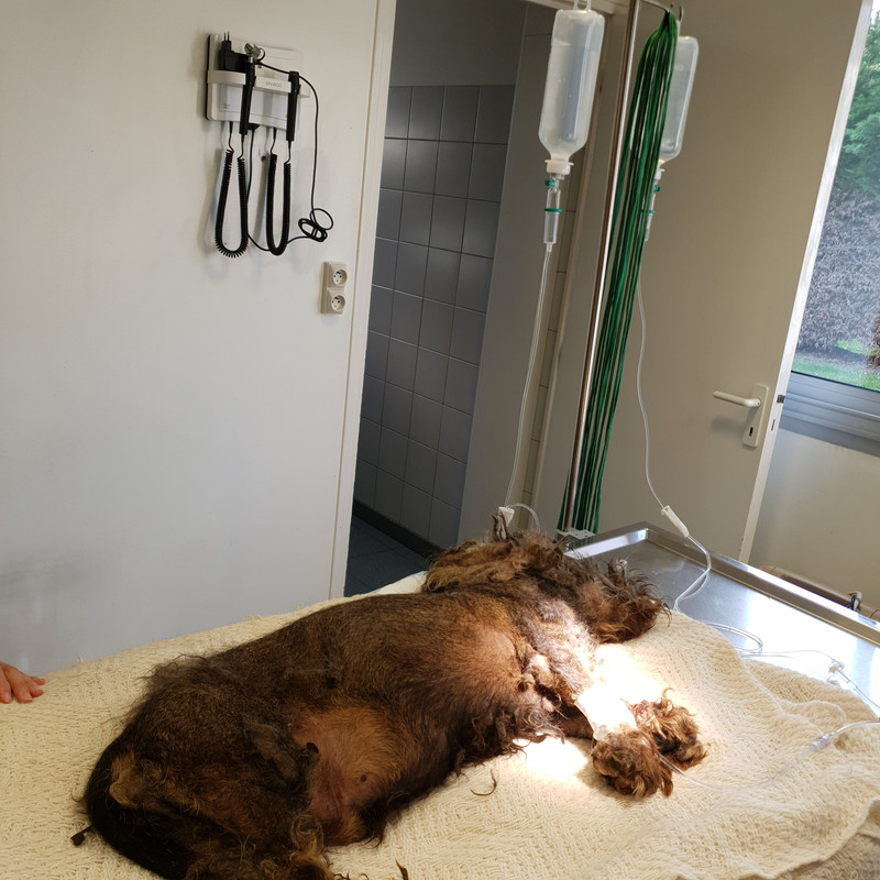 [Image: 20210603-192351.jpg]