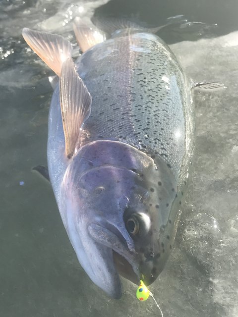 44E6C6B9-FAC3-4FB7-9EF0-8C0ADC57F305