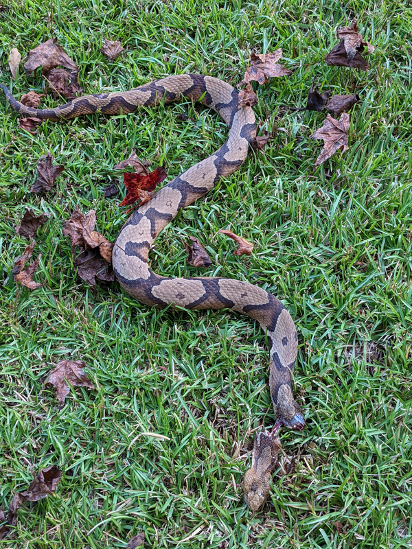 PXL_20211008_225152516