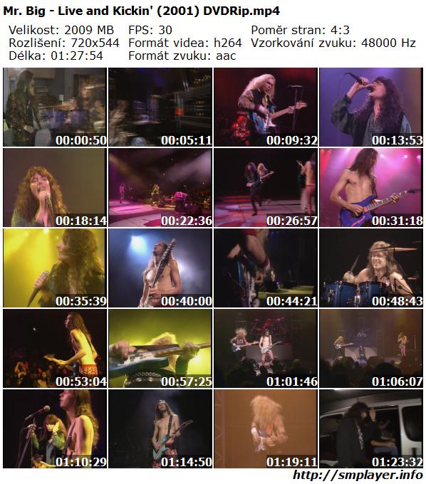 Mr. Big - Live and Kickin' (2001)