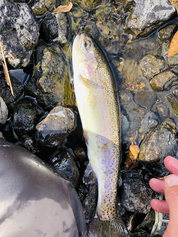 70A65ABD-86DD-4C0F-9110-047E8245A755