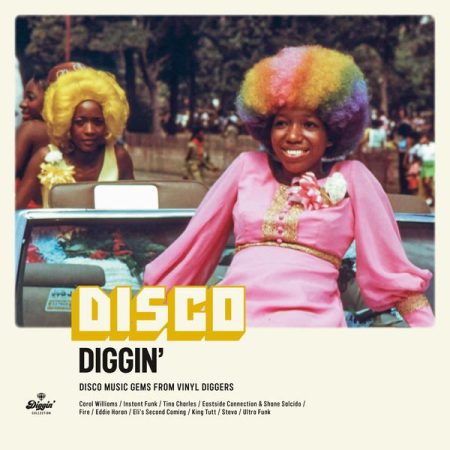 VA - Disco Diggin' : Disco Music Gems From Vinyl Diggers (2022)