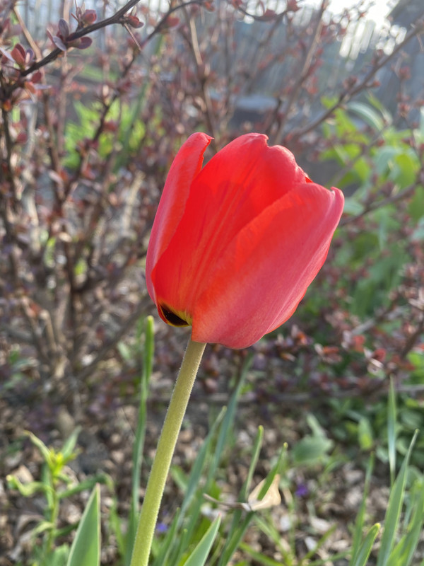 9C8EB7C9-483C-4932-BDC7-771A52421630