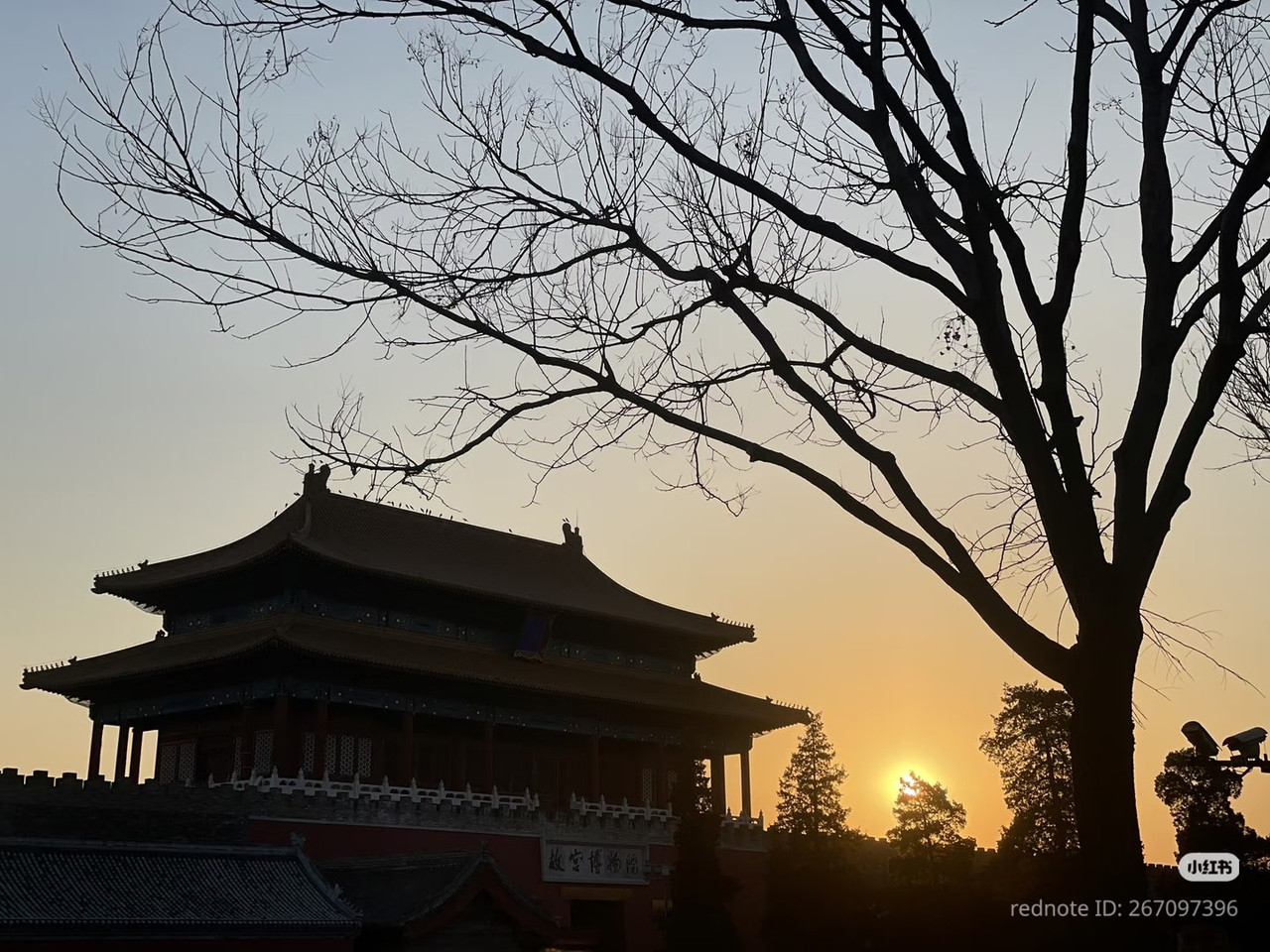 photo 3 2026 01 03 21 22 22