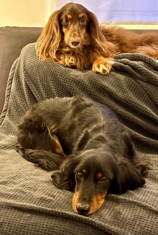 [Image: IMG-20250223-WA0031.jpg]