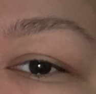 55E5BF68-C3FB-4DCA-8D9A-E1E6C5F87CDB