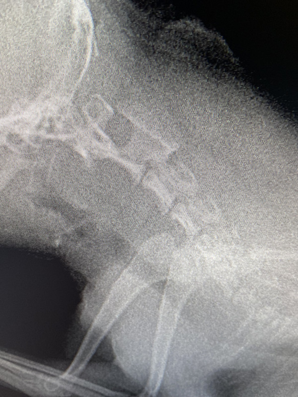 IMG_0619