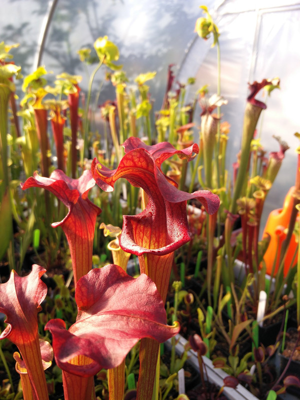 300826850-393473172941216-34779700333725