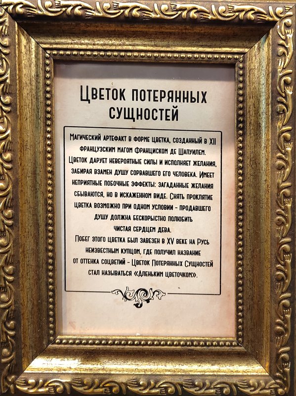 https://i.postimg.cc/Bnmmn1cd/106-IMG-20250128-145823.jpg