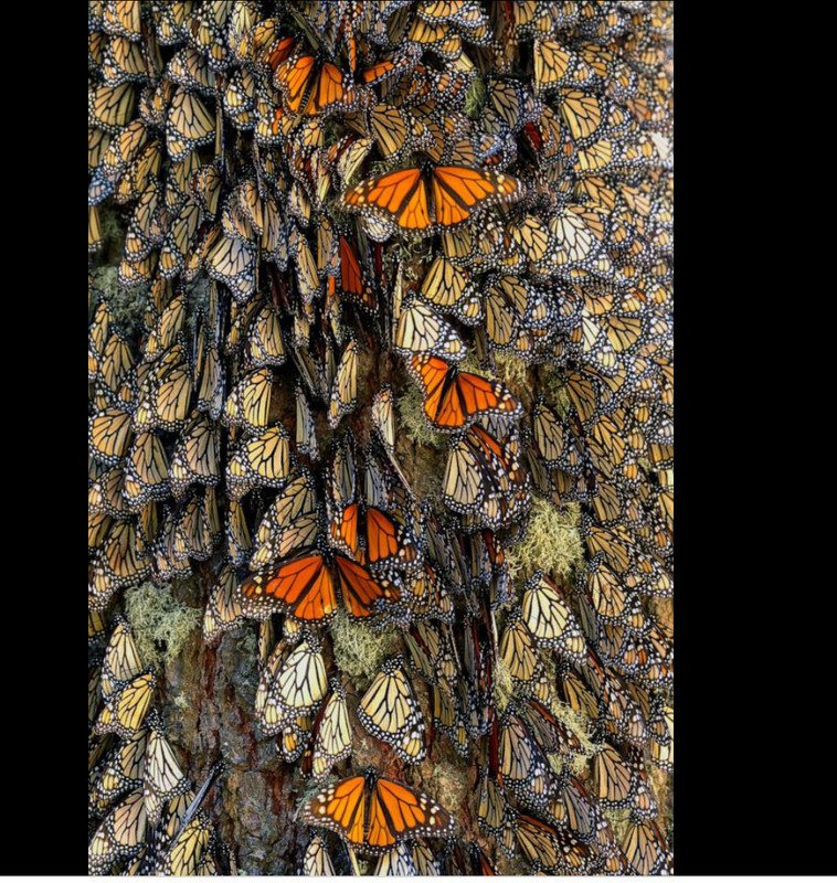 3600-A4-CF-6804-47-AB-A2-EF-5-D37-B09-E0