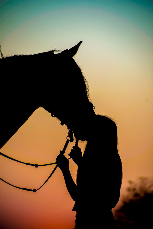 Horse and Rider Portraits — Postimages