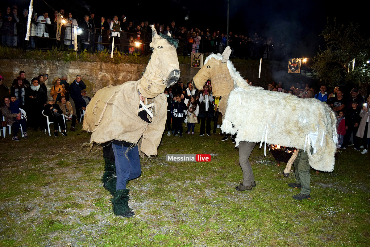 ελαιοχωριDSC_0656