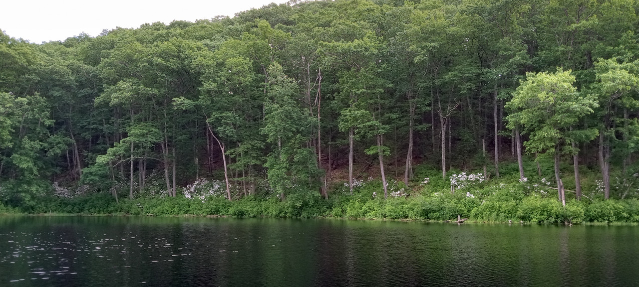 Little Hell Pond 7