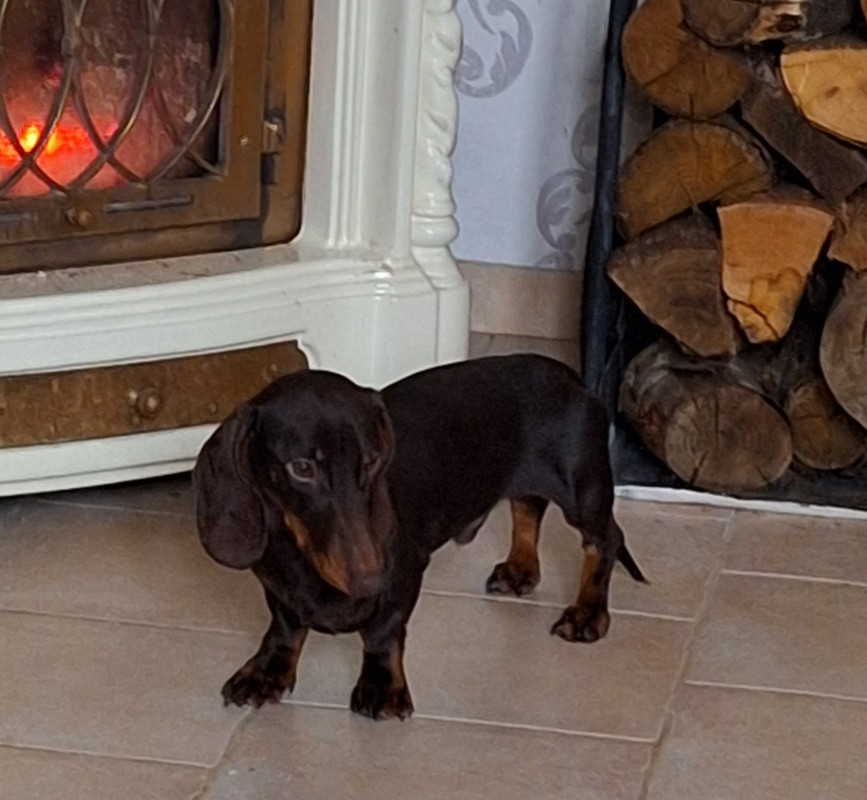 [Image: 20240123-134153.jpg]