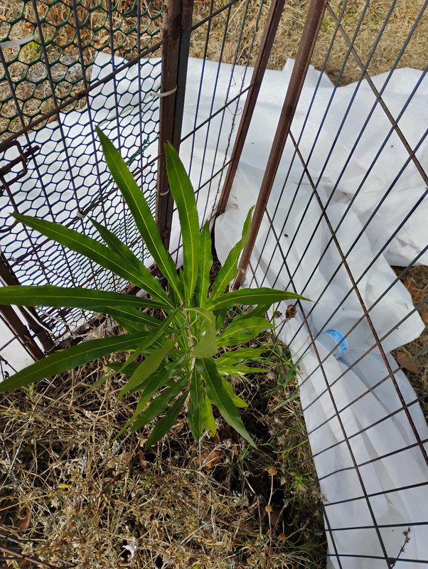 IMG 20260204 101416875