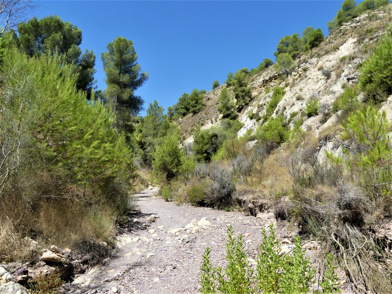 RUTA DE LAS CARAS EN LA RAMBLA DEL CIGARRON-23-7-2020 - Murcia y sus pueblos-1991/2022 (26)