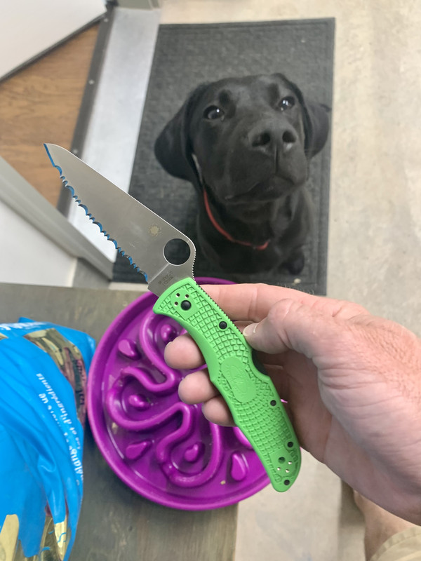 A24D616B-3922-48BA-95FC-BC9C45084F46