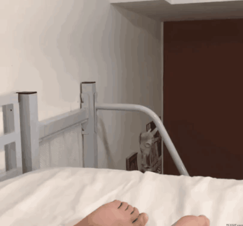 oie-108648d-Zb0Is-Qr