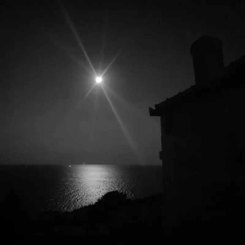 IMG-20210818-221856-191.webp