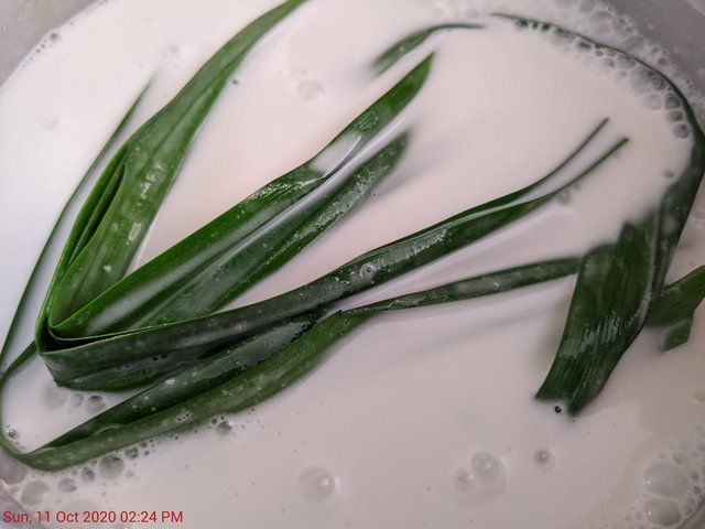[Image: PXL-20201011-182408614.jpg]
