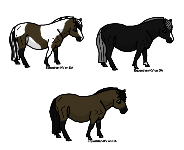 Shetland-Group-1.png