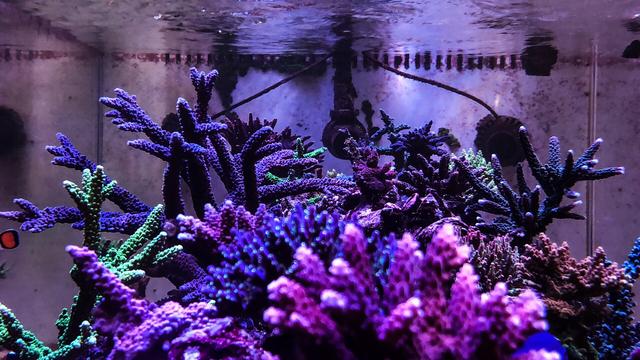 C4DFE5AF-D980-4BC2-A01B-270FA7D6503F