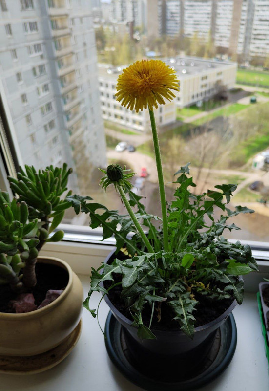 8BA72649-6C93-461A-90CD-74DBB1732323