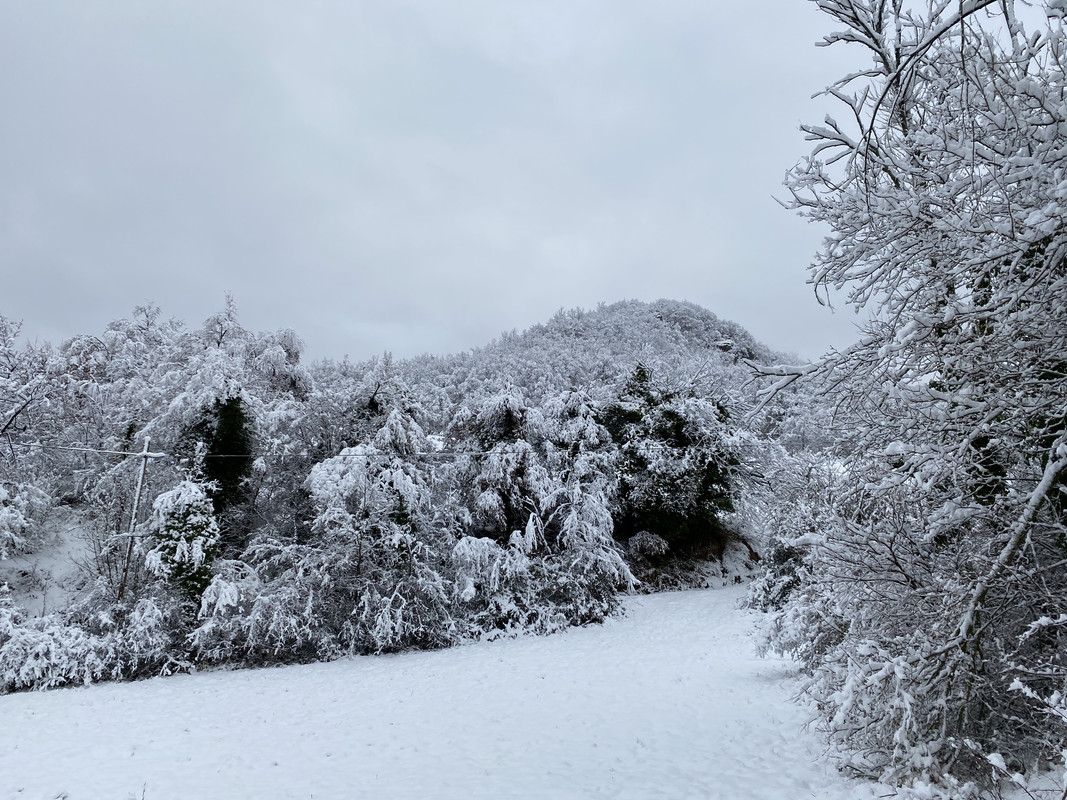 1748555A-2370-43AE-A690-A8C4E001C182