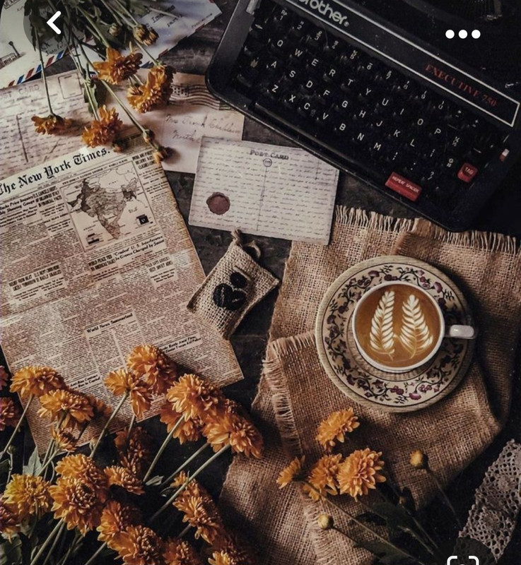 Screenshot_20230928_231006_Pinterest