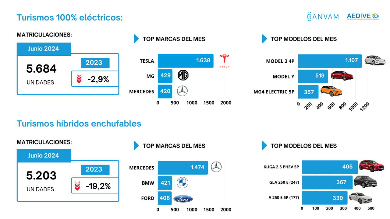 Matriculacionesturismoselectrificadosjunio2024marcasymodelos