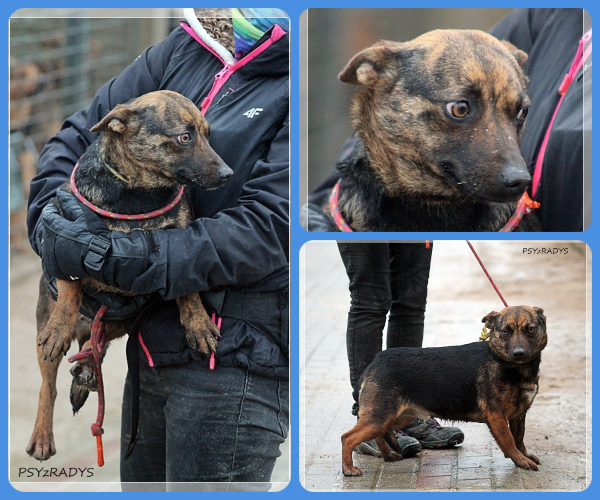 BeFunky-collage (18)