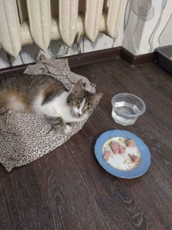 IMG-4bce79cd238876fd3edf061457b8d958-V