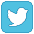 twitter icon
