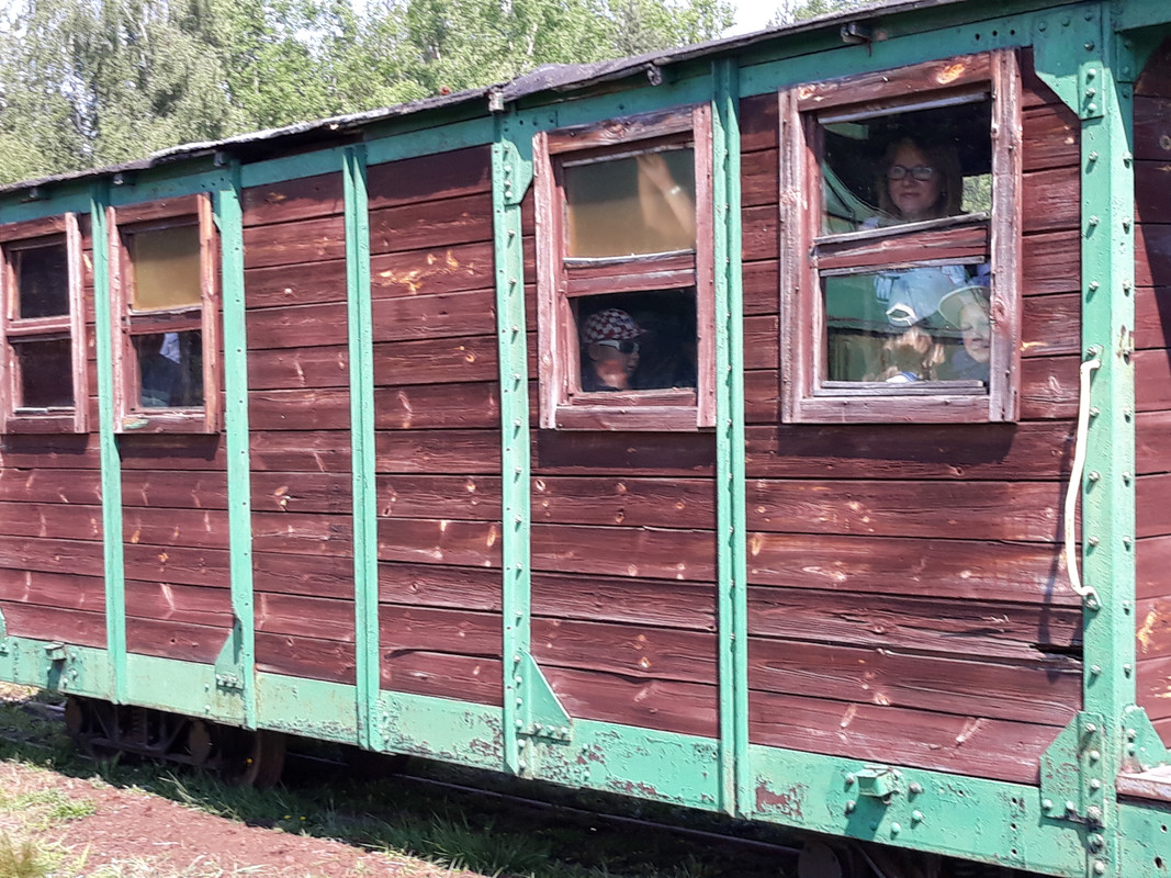 04.06 - 20180601_111119 (Mysikrólik)