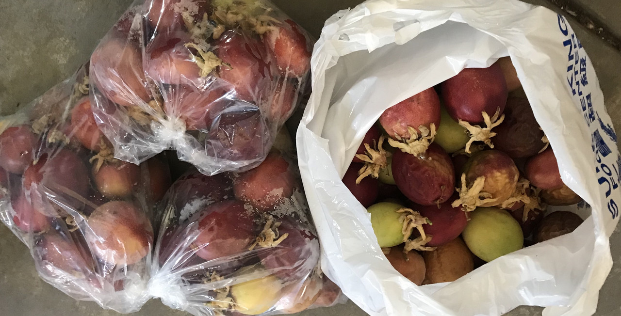 581F3B7C-304A-4F5F-94BF-A5A44D3D7372