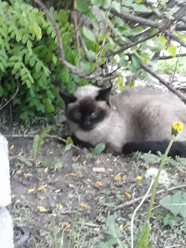 851A3C3F-1576-449E-BDAA-7DDBF2430286