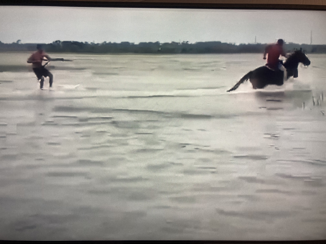 B0D50AED-F20A-4B65-9D3D-22D10420CCBA