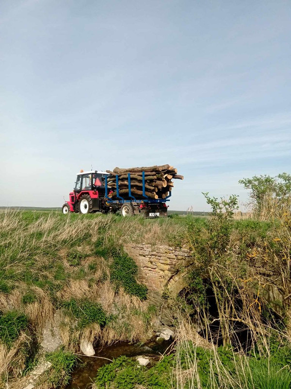 436574091_794247806106931_948861463498967048_n