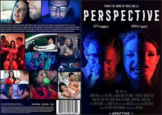 Perspective Adult Time