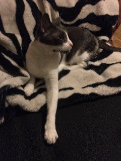 0282-FDB8-9343-4401-9120-DDC2867-E297-E.