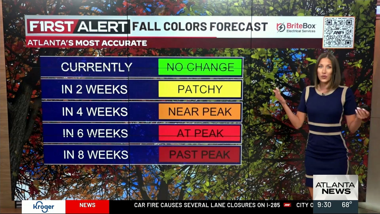 Atlanta News First at 9am_20230921_14001500.ts_snapshot_00.37.08.335