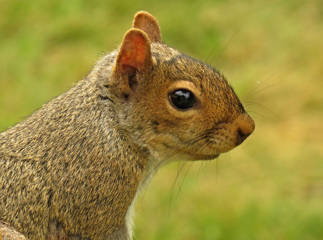 IMG_1694