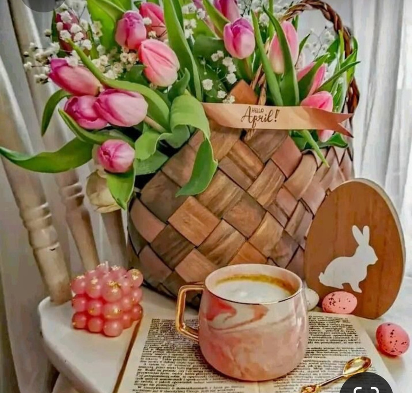 Screenshot_20230312_214048_Pinterest